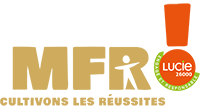 logo CFMM